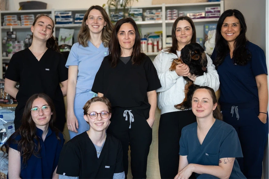 Équipe de la Clinique vétérinaire du Vieux-Rosemont